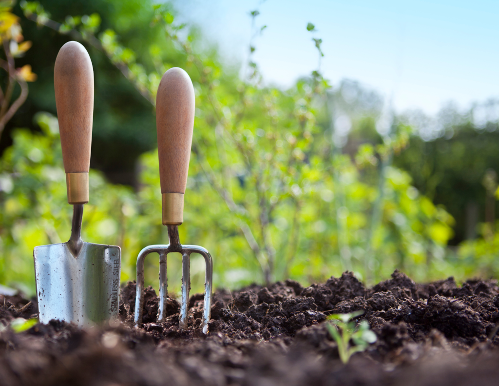 Summer’s Approaching: Where and How to Find the Ideal Gardener