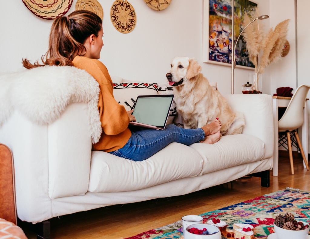 How To Deal Effectively With Pet Owning Tenants