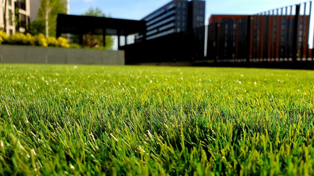 Now is the Time to Ensure That You Have a Beautiful Lawn for the Summer. Here’s How.